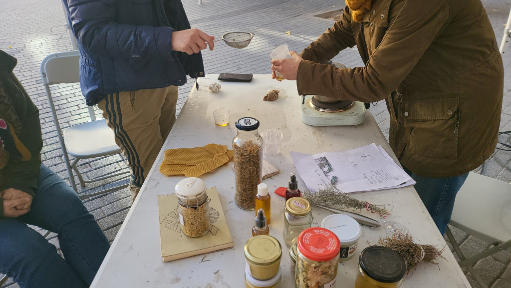 Taller de farmaciola natural amb herbes diferents i olis essencials per preparació de cremes.