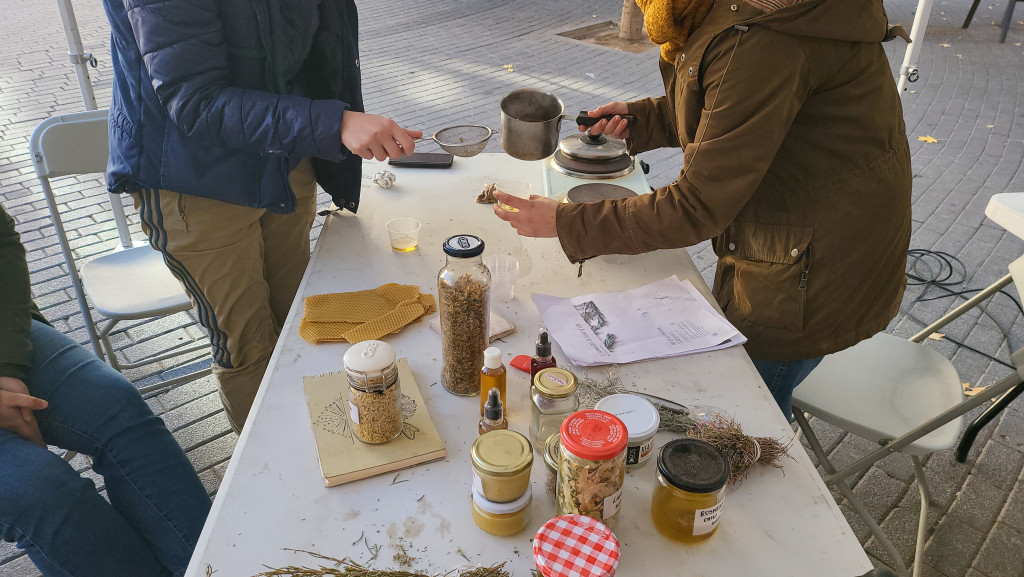 Taller de farmaciola natural amb herbes diferents i olis essencials per preparació de cremes.