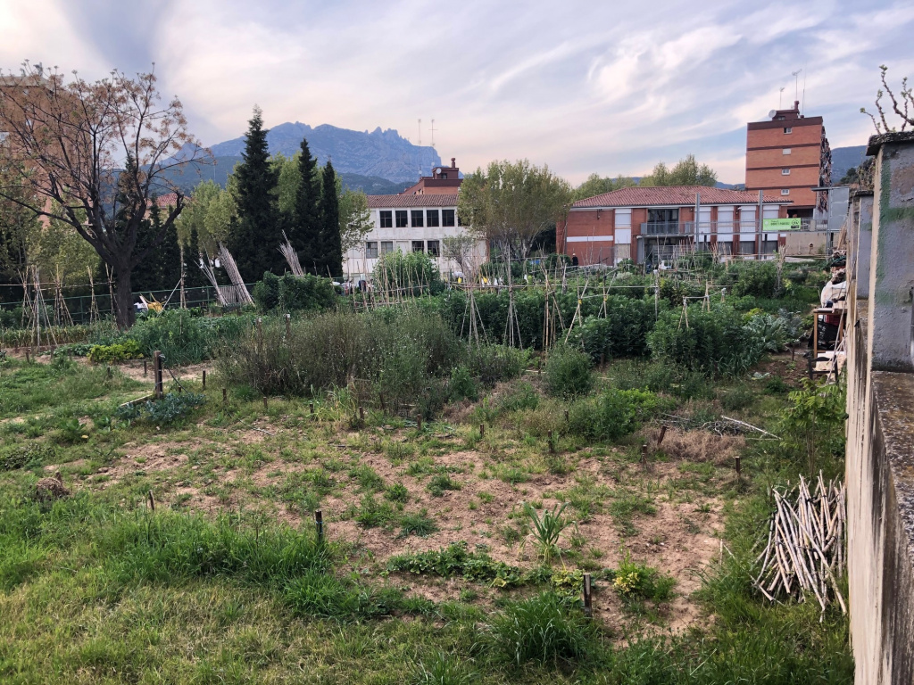 Imatge del lloc on estan ubicades les 19 parcel·les al barri de Sant Bernat