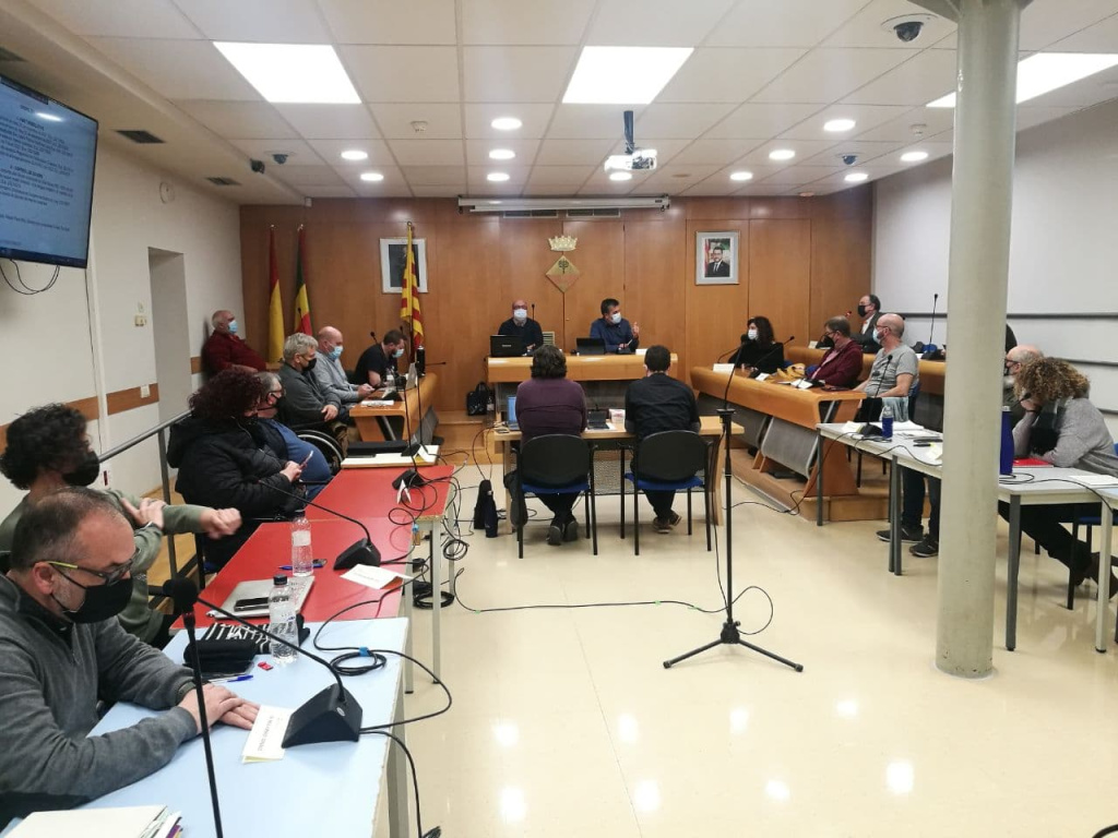 Assistents al Ple municipal