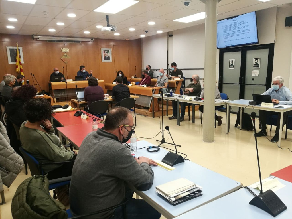 Assistents al Ple municipal