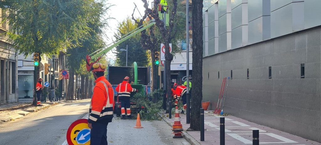 operaris al carrer amb maquinaria i parant el tràfic per fer la poda dels arbres del carrer Anselm clavé