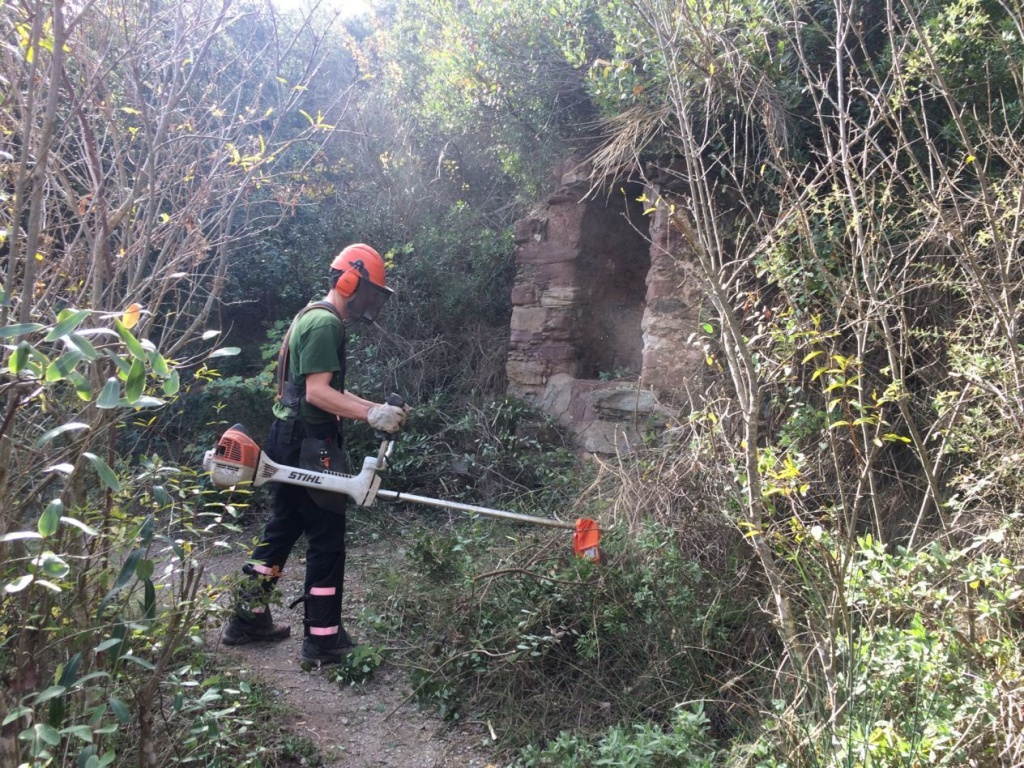 Operari fent feines d'arranjament d'un camí