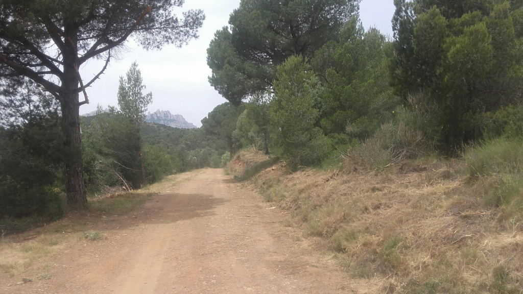 Camí del medi natural del entorn d'Olesa